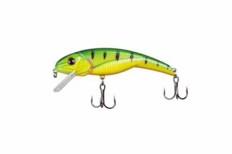 shad lure bait shop