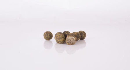 Picture of Nash Scopex Squid Cultured Hookbaits 15mm