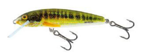 Picture of Salmo Sinking Minnow 5cm 3g