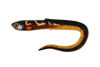 Picture of Fox Rage Slick Eel 21cm